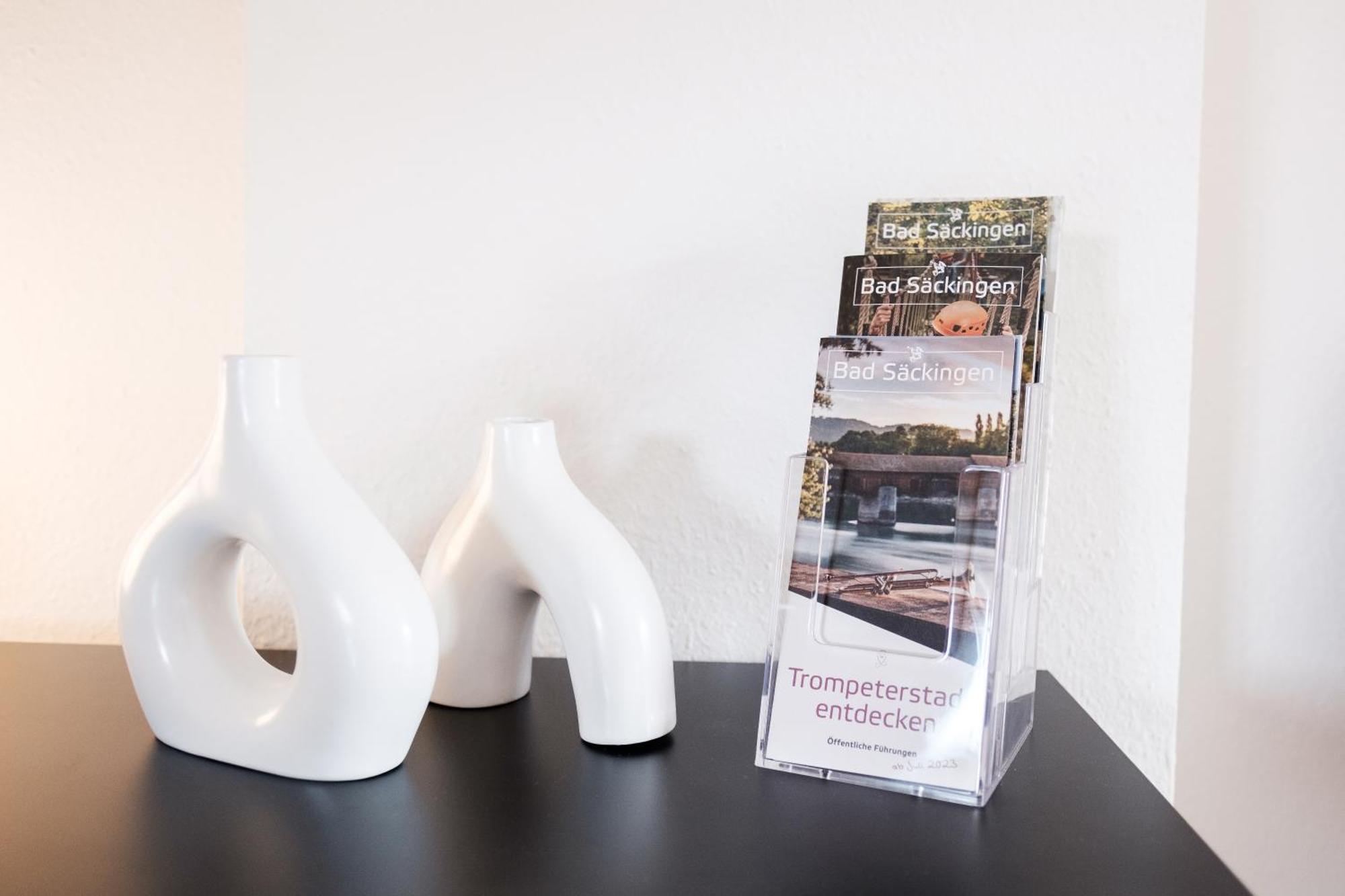 Neu Deluxe Suite Muensterblick, Maisonette, Kingsize Bett, Kueche, Netflix, Aussicht, E-Kamin Bad Säckingen Eksteriør bilde