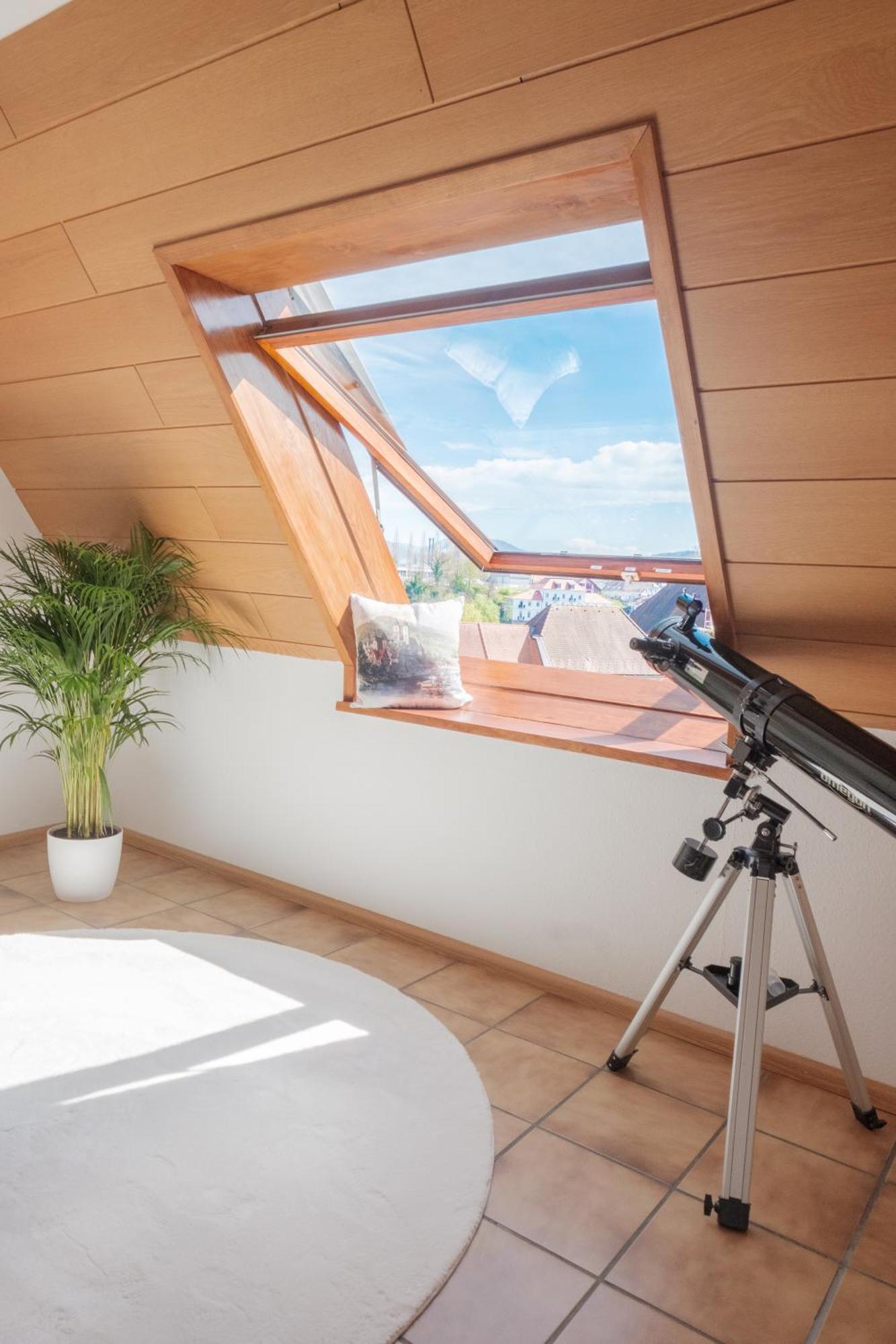 Neu Deluxe Suite Muensterblick, Maisonette, Kingsize Bett, Kueche, Netflix, Aussicht, E-Kamin Bad Säckingen Eksteriør bilde